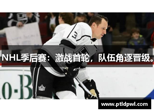 NHL季后赛：激战首轮，队伍角逐晋级。